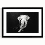 Framed wall art collection showcasing a vibrant jellyfish design in shades of blue and pink, featuring a sleek black frame and a white mat, perfect for marine life enthusiasts.
