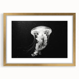 Elegant wall art featuring a stunning jellyfish design in vibrant colors, framed with a gold matte, perfect for marine life enthusiasts and contemporary decor.