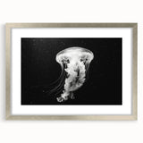 Framed wall art collection featuring a vibrant jellyfish design in silver frame, ideal for marine life enthusiasts, enhancing home decor and ambiance.