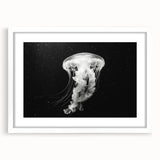 Framed wall art showcasing a vibrant jellyfish design in soothing blue and white hues, perfect for marine-themed decor. The artwork is elegantly matted, enhancing its visual appeal.