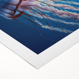 Colorful rolled canvas showcasing a vibrant jellyfish design, part of a marine life wall art collection, ideal for ocean-themed decor and artistic spaces.
