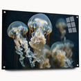Acrylic wall art featuring a vibrant jellyfish design, showcasing intricate details and colors. Side view highlights its sleek finish and mounting pins, ideal for marine-themed decor.