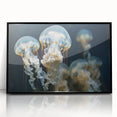 Framed wall art featuring a captivating jellyfish design in vibrant colors, showcasing marine life in an elegant black frame, perfect for ocean-themed decor.