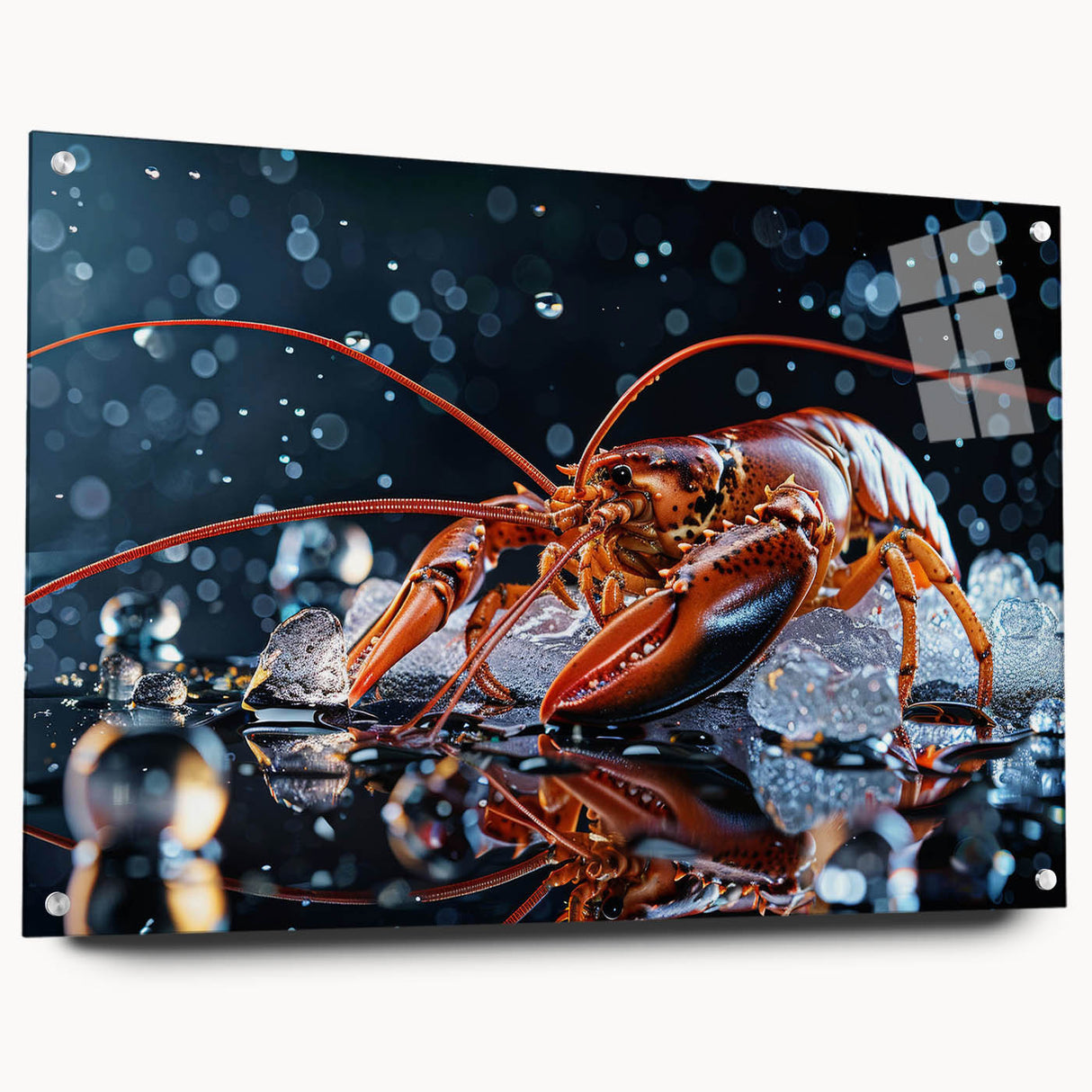 Colorful acrylic glass wall art showcasing a detailed marine life lobster design, featuring a side view with decorative pins, perfect for ocean-themed decor.