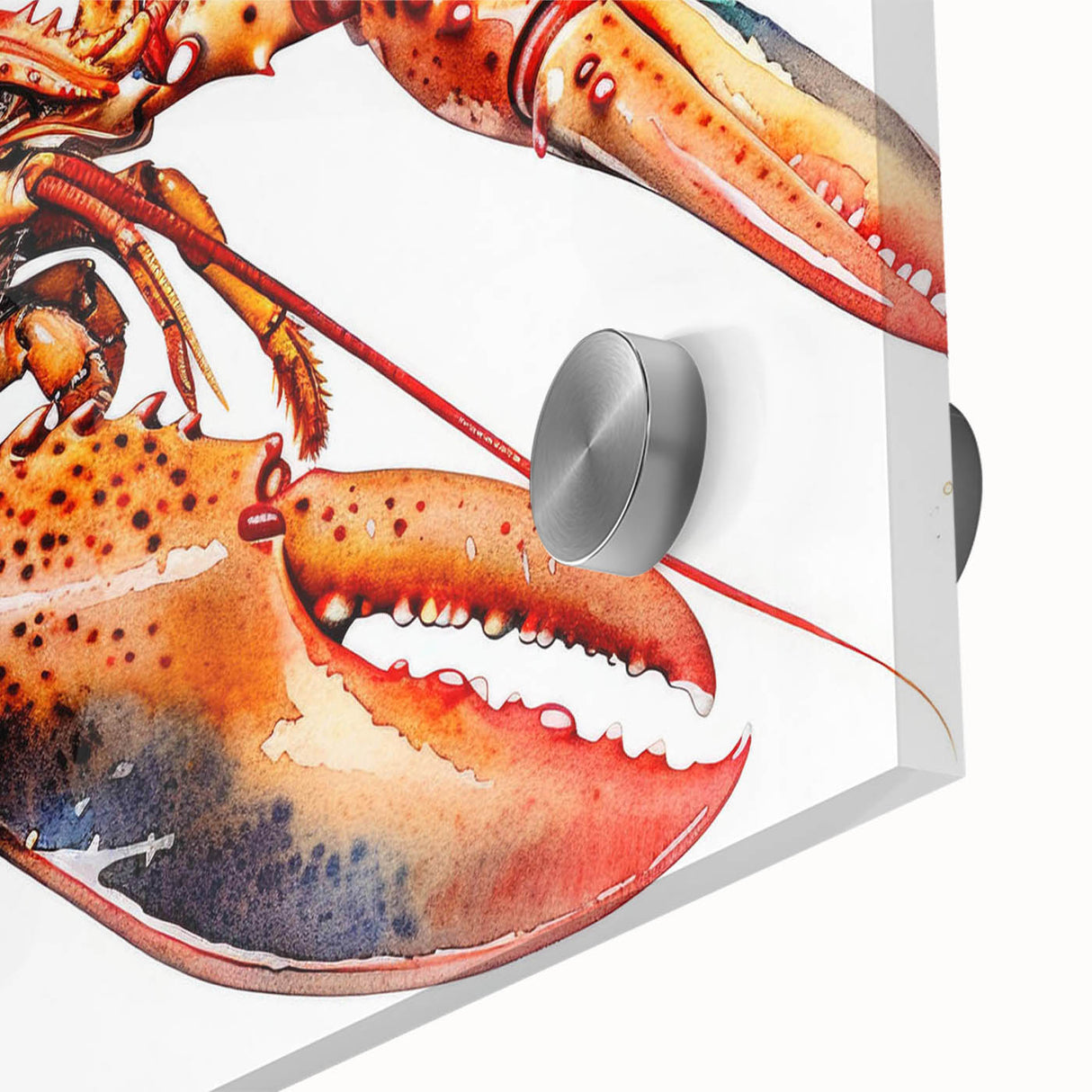 Close-up view of a vibrant marine life wall art piece showcasing a detailed lobster design, crafted with acrylic glass for a modern aesthetic and vivid colors, perfect for ocean-themed decor.