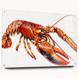 Colorful marine life wall art featuring a detailed lobster design displayed in a sleek acrylic frame, showcasing vibrant colors and intricate details, ideal for ocean-themed decor.