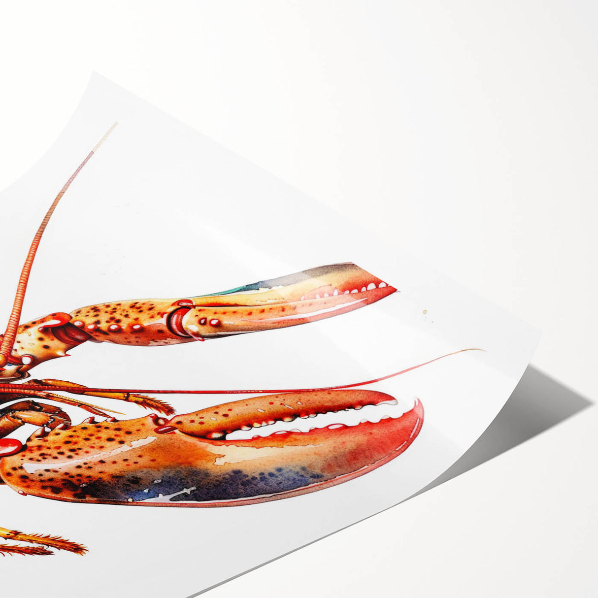 Vibrant wall art print showcasing a detailed marine life lobster design, perfect for ocean-themed decor. High-quality rolled print, ideal for framing.