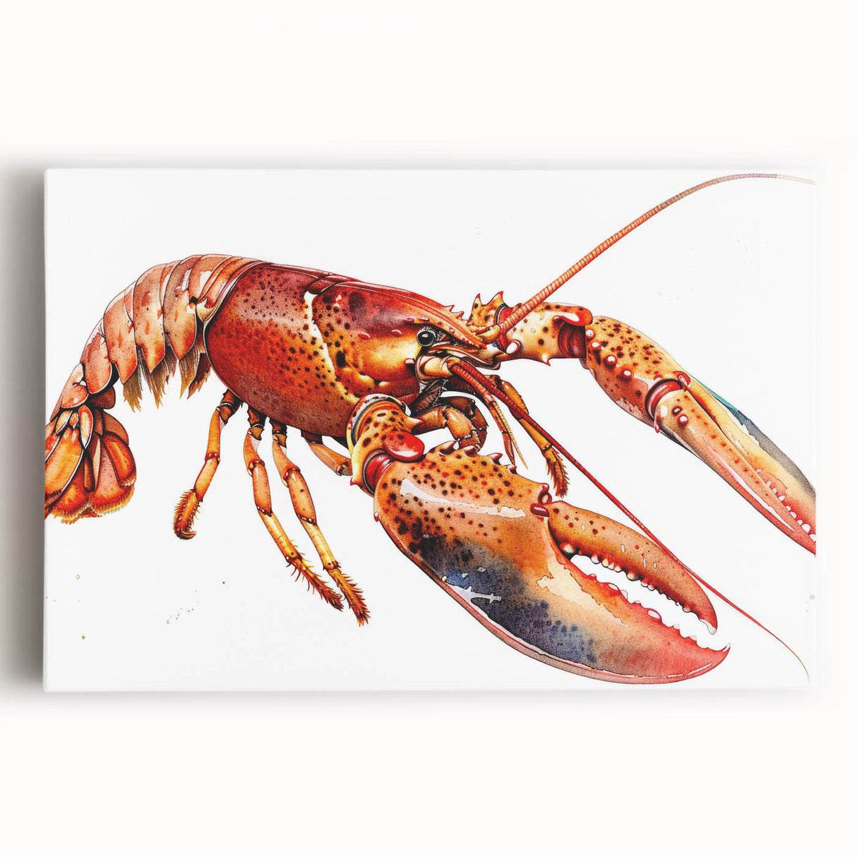 Vibrant stretched canvas wall art showcasing a detailed marine life design featuring a colorful lobster, perfect for coastal decor enthusiasts.