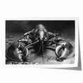 Lobster-themed wall art print showcasing intricate marine life design in vibrant colors, rolled for easy display and shipping, perfect for coastal decor enthusiasts.