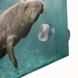 Close-up view of an acrylic glass wall art piece showcasing a vibrant marine life design featuring a manatee, with intricate details and colors that evoke oceanic themes.
