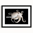 Black-framed wall art showcasing a vibrant octopus design, perfect for marine life enthusiasts, featuring intricate details and a contemporary aesthetic.