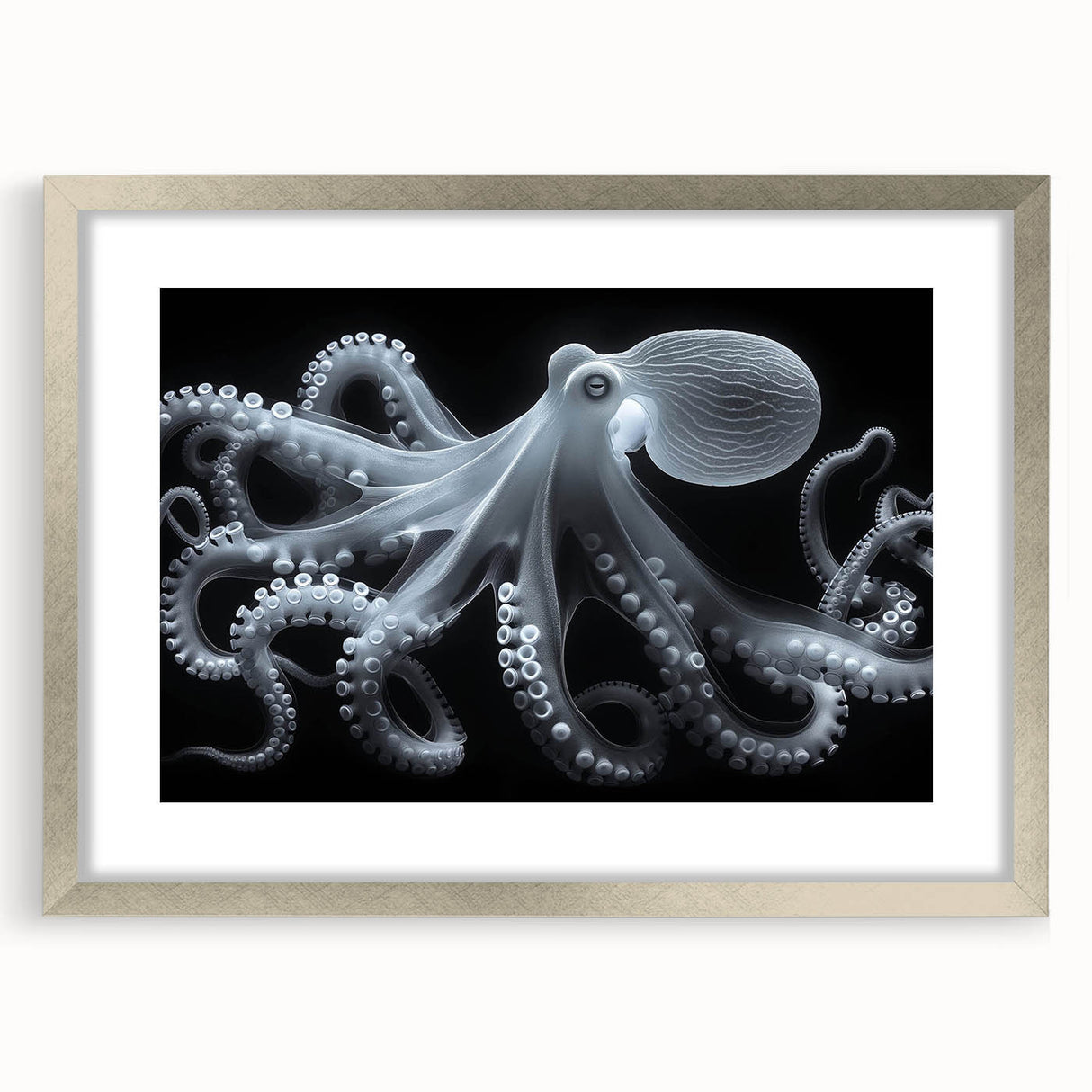 Framed wall art featuring a vibrant octopus design in a silver frame, highlighting marine life with intricate details, perfect for ocean-themed decor.