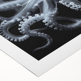 Colorful octopus design on rolled canvas wall art, showcasing vibrant marine life in intricate detail. Perfect for ocean-themed decor in homes or offices.