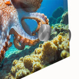 Close-up of an octopus design wall art piece, showcasing vibrant colors and intricate details on acrylic glass, perfect for marine life enthusiasts. This artwork adds a unique touch to home decor, emphasizing oceanic themes with a modern flair.