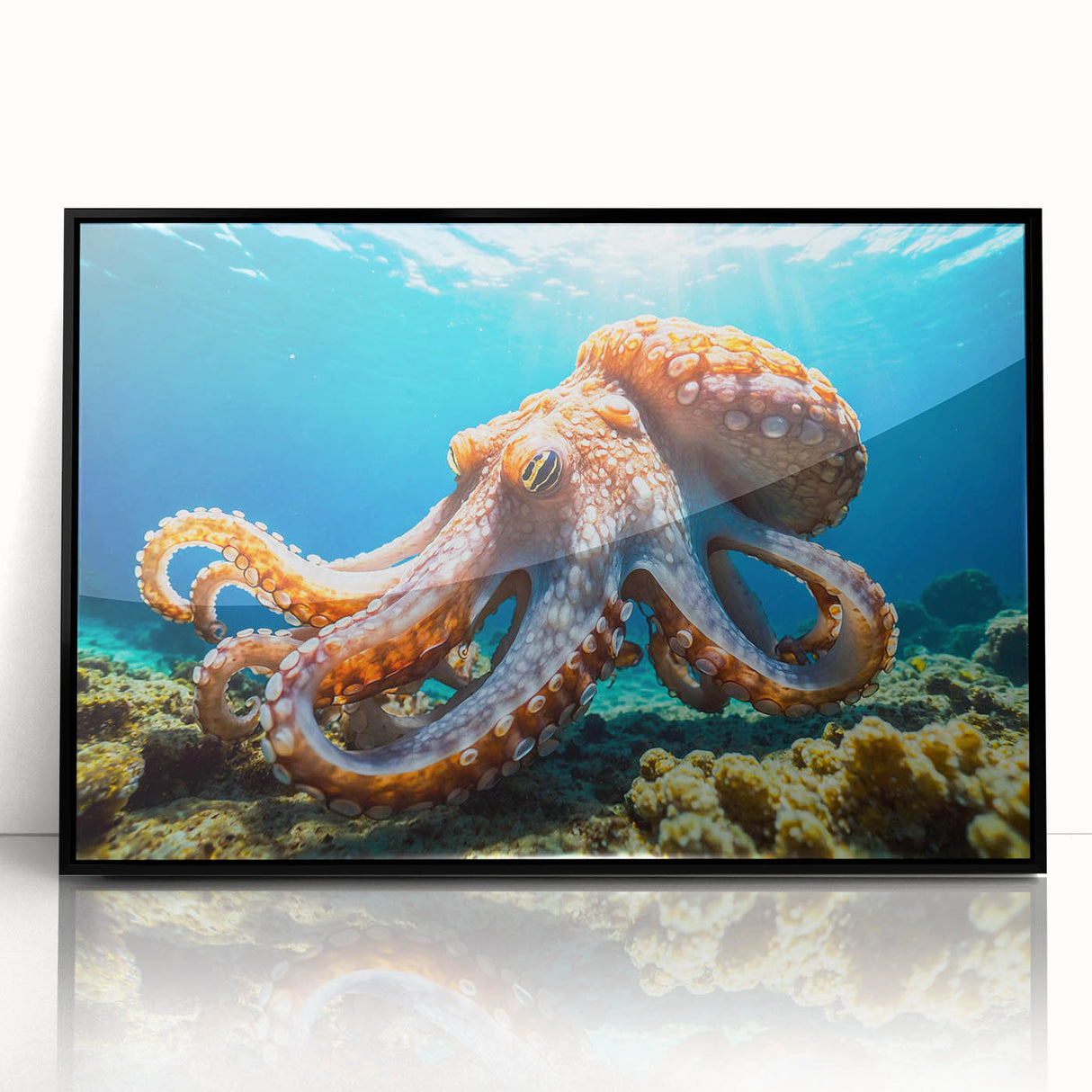 Framed wall art featuring a vibrant octopus design in marine life theme, set in sleek black acrylic, perfect for ocean-inspired decor.