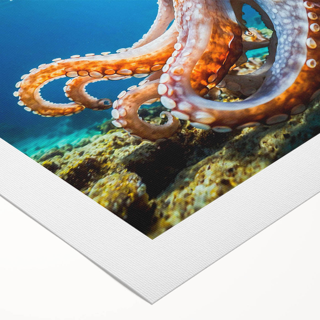 Vibrant rolled canvas artwork showcasing a detailed octopus design in shades of blue and orange, perfect for marine-themed decor. Ideal for ocean lovers and art enthusiasts.
