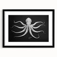 Black-framed wall art showcasing a vibrant octopus design, perfect for marine life enthusiasts. Ideal for adding a coastal touch to any room decor.