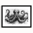 Black-framed wall art featuring a vibrant octopus design, showcasing intricate marine life details and colorful patterns, perfect for ocean-themed decor.