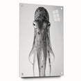 Colorful octopus wall art design displayed in an acrylic glass frame, showcasing intricate marine life details. Ideal for coastal-themed decor enthusiasts.