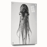 Colorful octopus wall art design displayed in an acrylic glass frame, showcasing intricate marine life details. Ideal for coastal-themed decor enthusiasts.