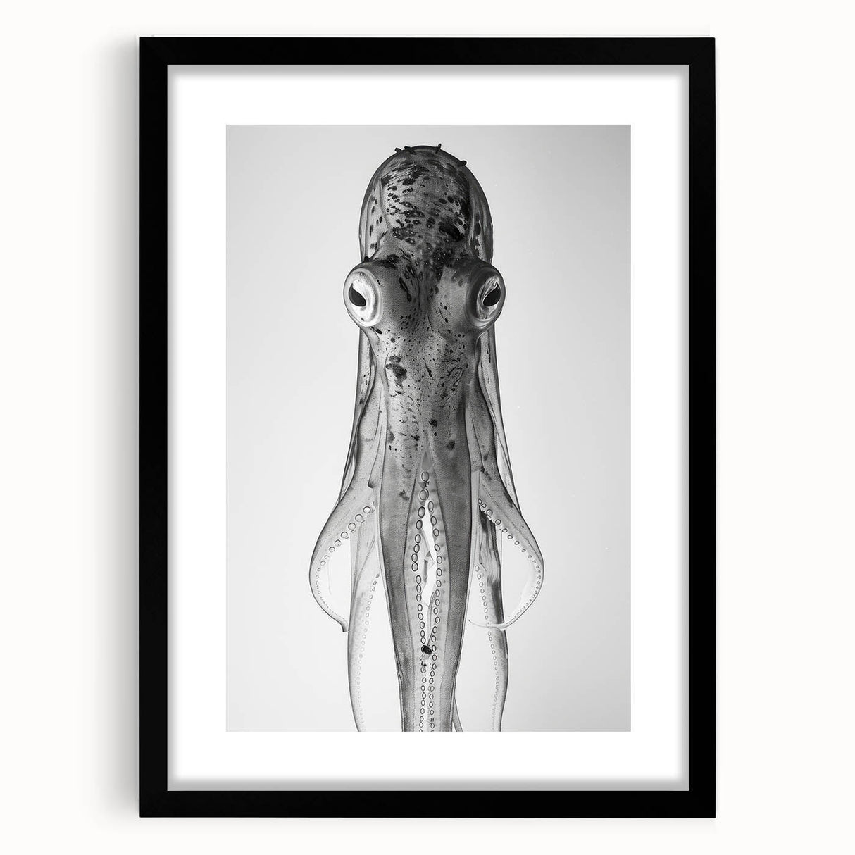 Framed wall art featuring a vibrant octopus design in marine life theme, set against a sleek black mat. Ideal for ocean lovers and modern decor.