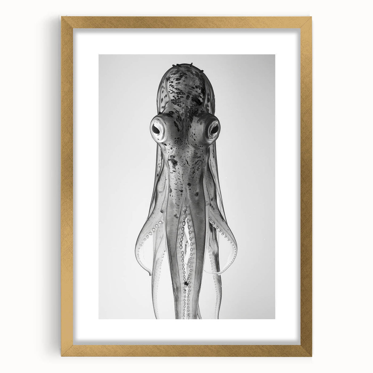 Gold-framed wall art featuring a vibrant octopus design, showcasing intricate marine life details and a stylish mat, perfect for ocean-themed decor.