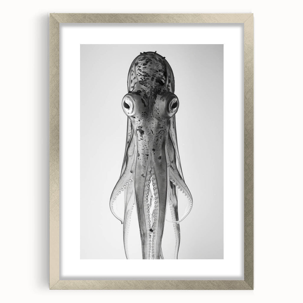 Silver-framed wall art featuring a detailed octopus design, showcasing vibrant marine life colors and textures, perfect for ocean-themed home decor.