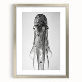 Silver-framed wall art featuring a detailed octopus design, showcasing vibrant marine life colors and textures, perfect for ocean-themed home decor.