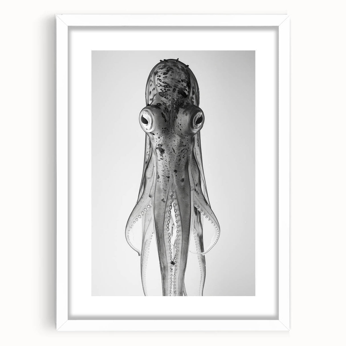 Framed octopus wall art design showcasing vibrant marine life colors in a white mat, perfect for ocean-themed decor and adding a touch of elegance to any room.