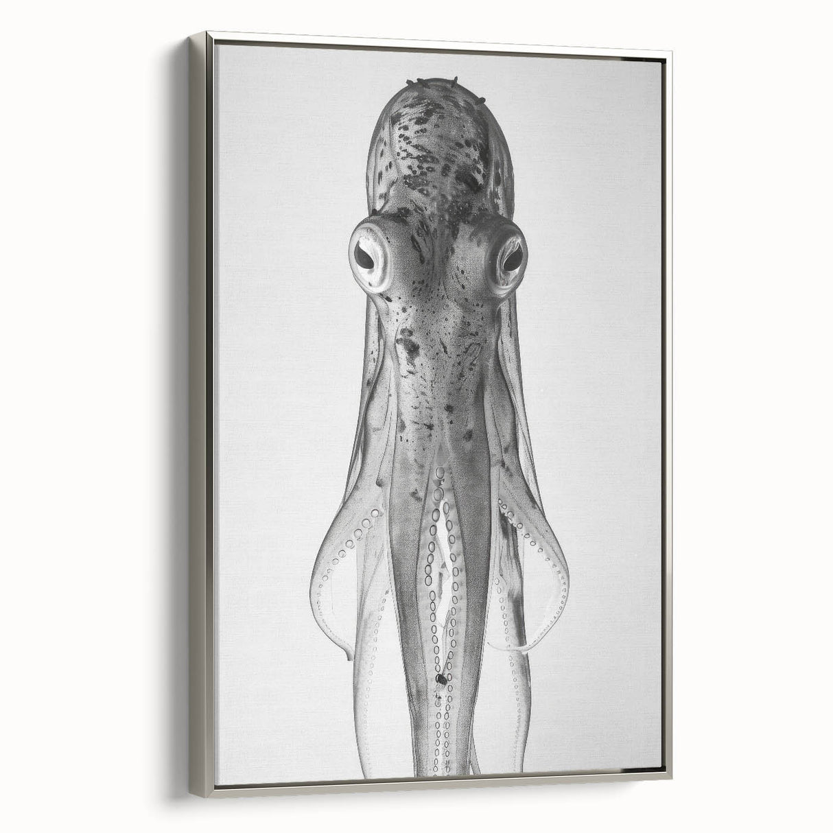 Framed canvas wall art displaying a vibrant octopus design in marine life theme, featuring a silver frame and showcasing intricate colors and details. Ideal for ocean lovers.