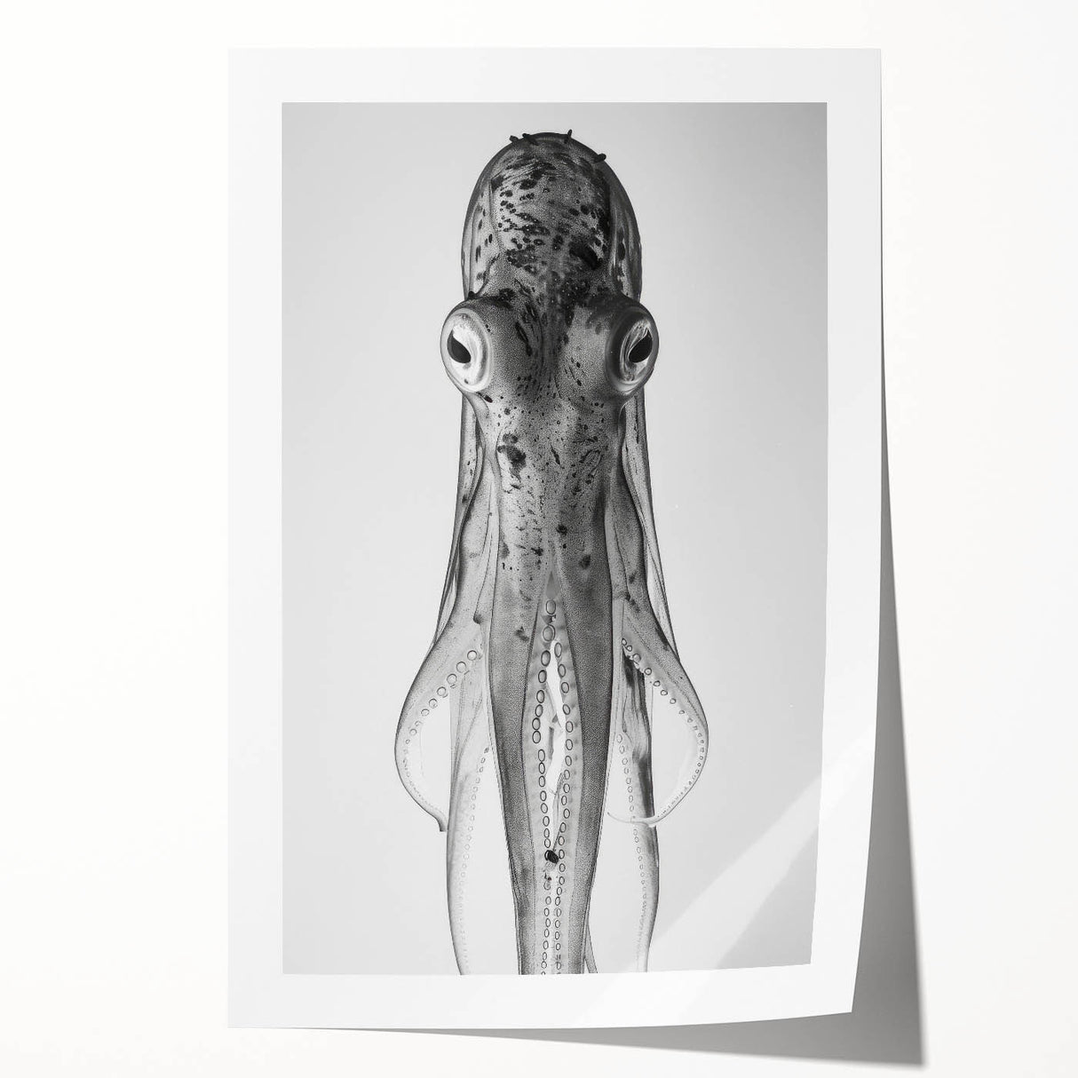 Colorful octopus illustration in a marine life wall art collection, showcasing intricate details and vibrant hues, perfect for coastal-themed decor.
