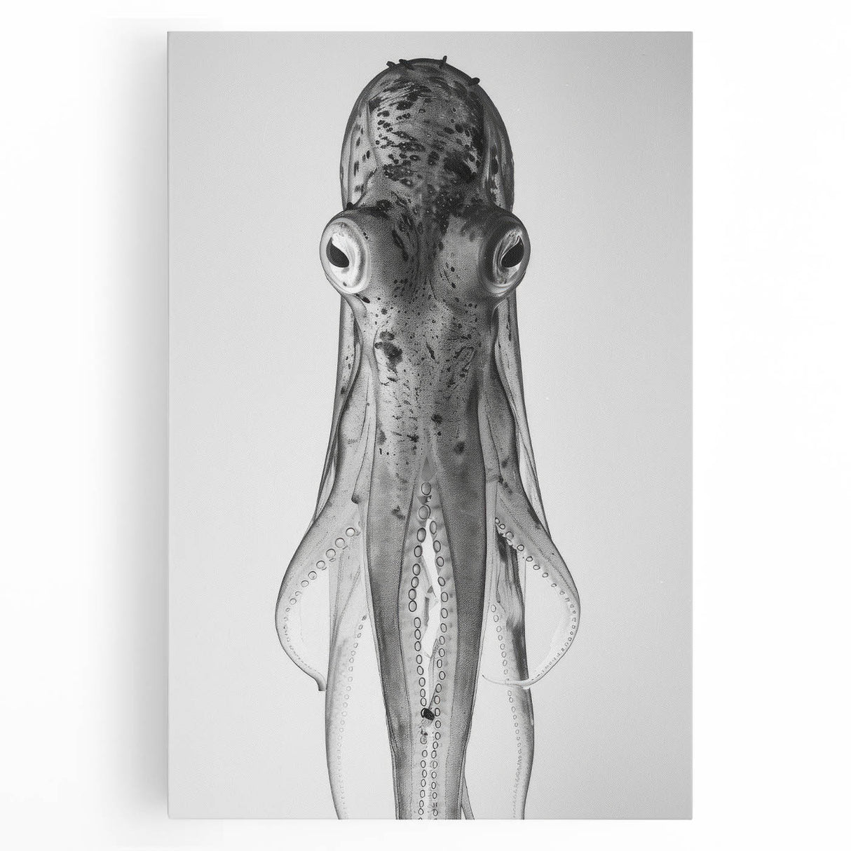 Stretched canvas wall art showcasing a vibrant octopus design in shades of blue and orange, perfect for marine life enthusiasts and ocean-themed decor.