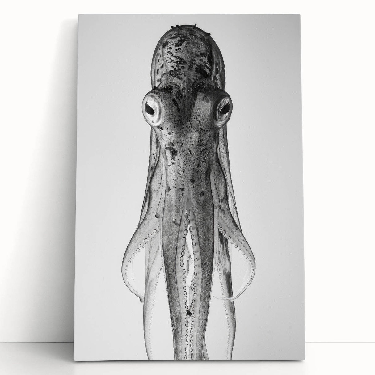 Stretched canvas wall art showcasing a vibrant octopus design in shades of blue and orange, perfect for marine life enthusiasts, enhancing any coastal-themed decor.