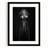 Framed wall art featuring an intricate octopus design, set against a black background, perfect for marine life enthusiasts, adding a touch of oceanic elegance to any decor.