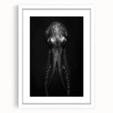 Octopus wall art design in a white frame with mat, showcasing vibrant marine life colors and intricate details, ideal for ocean-themed decor.