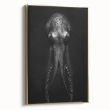 Framed wall art featuring a vibrant octopus design in rich colors, set against a gold background, showcasing marine life in an elegant, modern decor style.