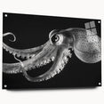 Vibrant acrylic glass wall art featuring a detailed octopus design with marine life elements, highlighted by a sleek side view and mounted with decorative pins.