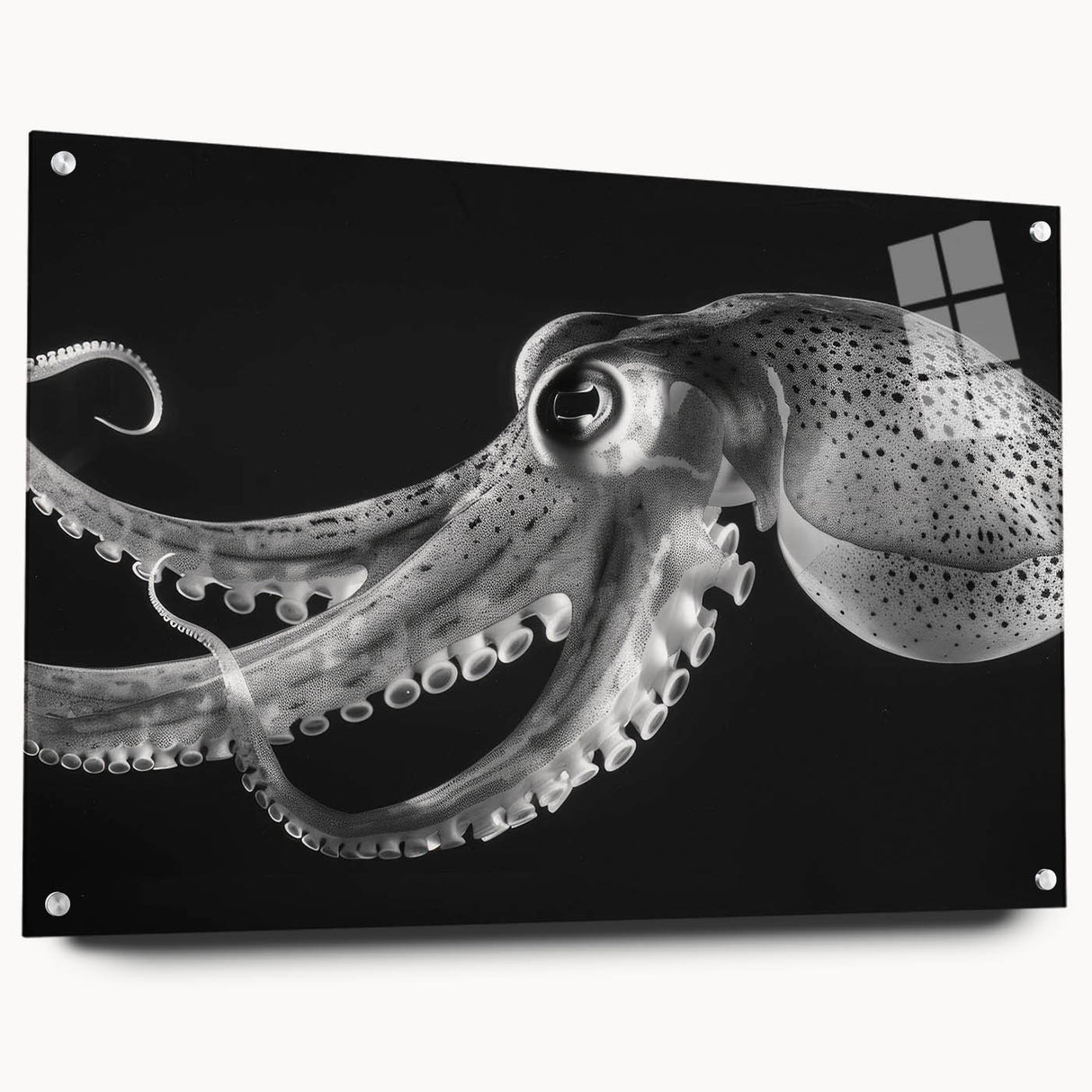 Vibrant acrylic glass wall art featuring a detailed octopus design with marine life elements, highlighted by a sleek side view and mounted with decorative pins.