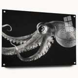 Vibrant acrylic glass wall art featuring a detailed octopus design with marine life elements, highlighted by a sleek side view and mounted with decorative pins.