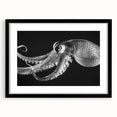 Black framed wall art showcasing an intricate octopus design, perfect for marine life enthusiasts, featuring vibrant colors and detailed textures.