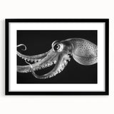 Black framed wall art showcasing an intricate octopus design, perfect for marine life enthusiasts, featuring vibrant colors and detailed textures.