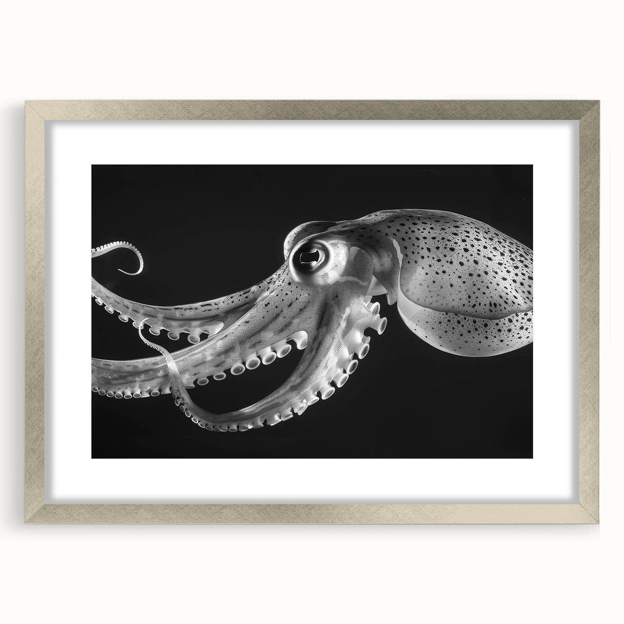 Framed wall art featuring a striking octopus design in vibrant colors, accented by a silver frame and mat, perfect for enhancing marine-themed decor.