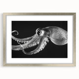 Framed wall art featuring a striking octopus design in vibrant colors, accented by a silver frame and mat, perfect for enhancing marine-themed decor.