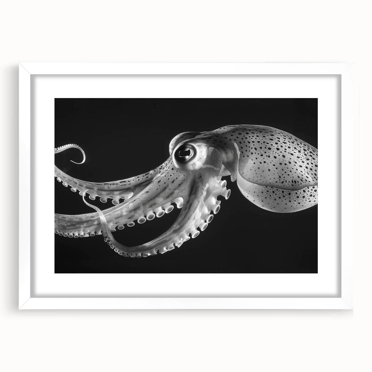 Octopus-themed wall art featuring vibrant marine life design in a sleek white frame with matting, perfect for ocean-inspired home decor. Ideal for aquatic enthusiasts.