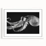 Octopus-themed wall art featuring vibrant marine life design in a sleek white frame with matting, perfect for ocean-inspired home decor. Ideal for aquatic enthusiasts.