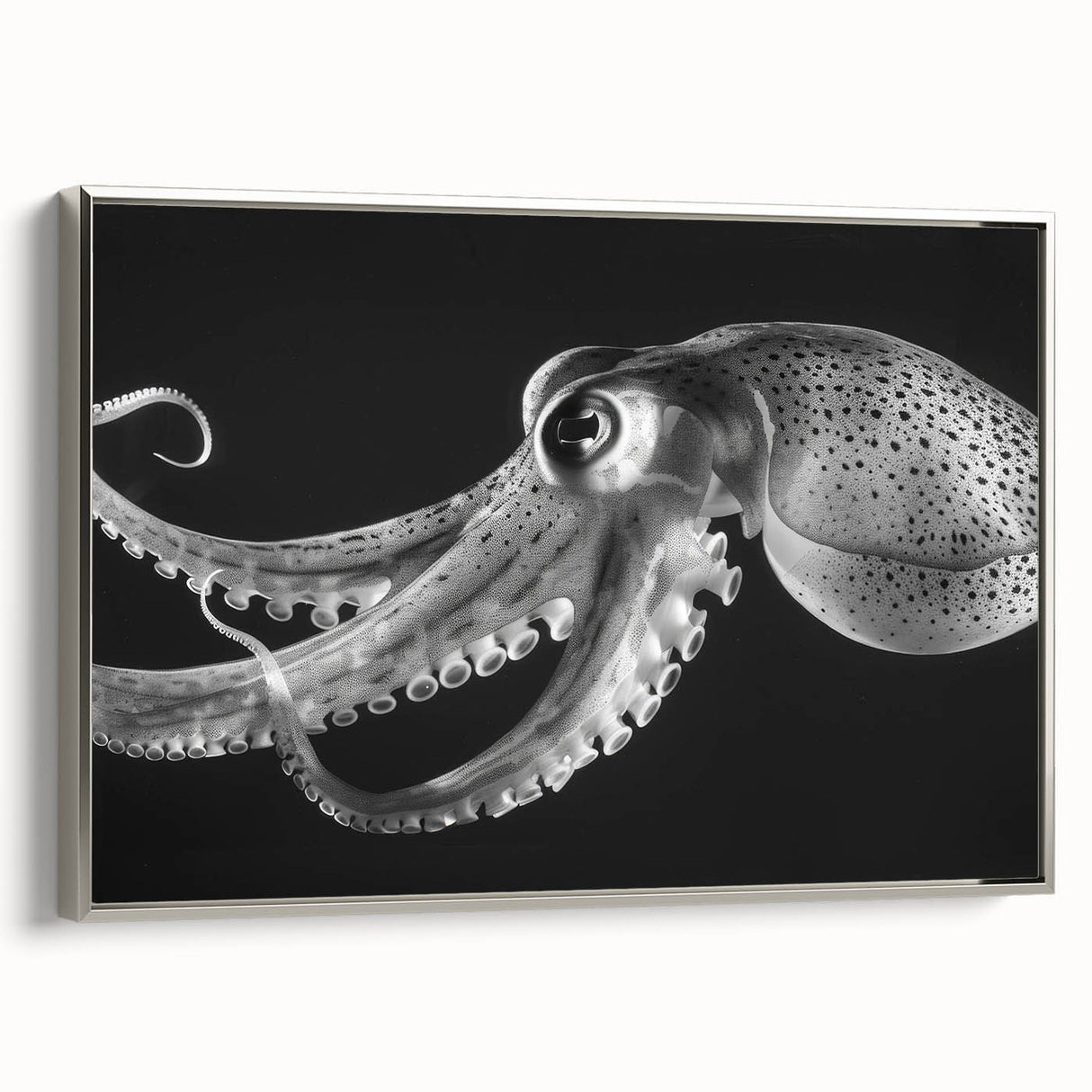 Framed canvas wall art featuring a vibrant octopus design, showcasing intricate marine life details in silver frame, perfect for ocean-themed decor.