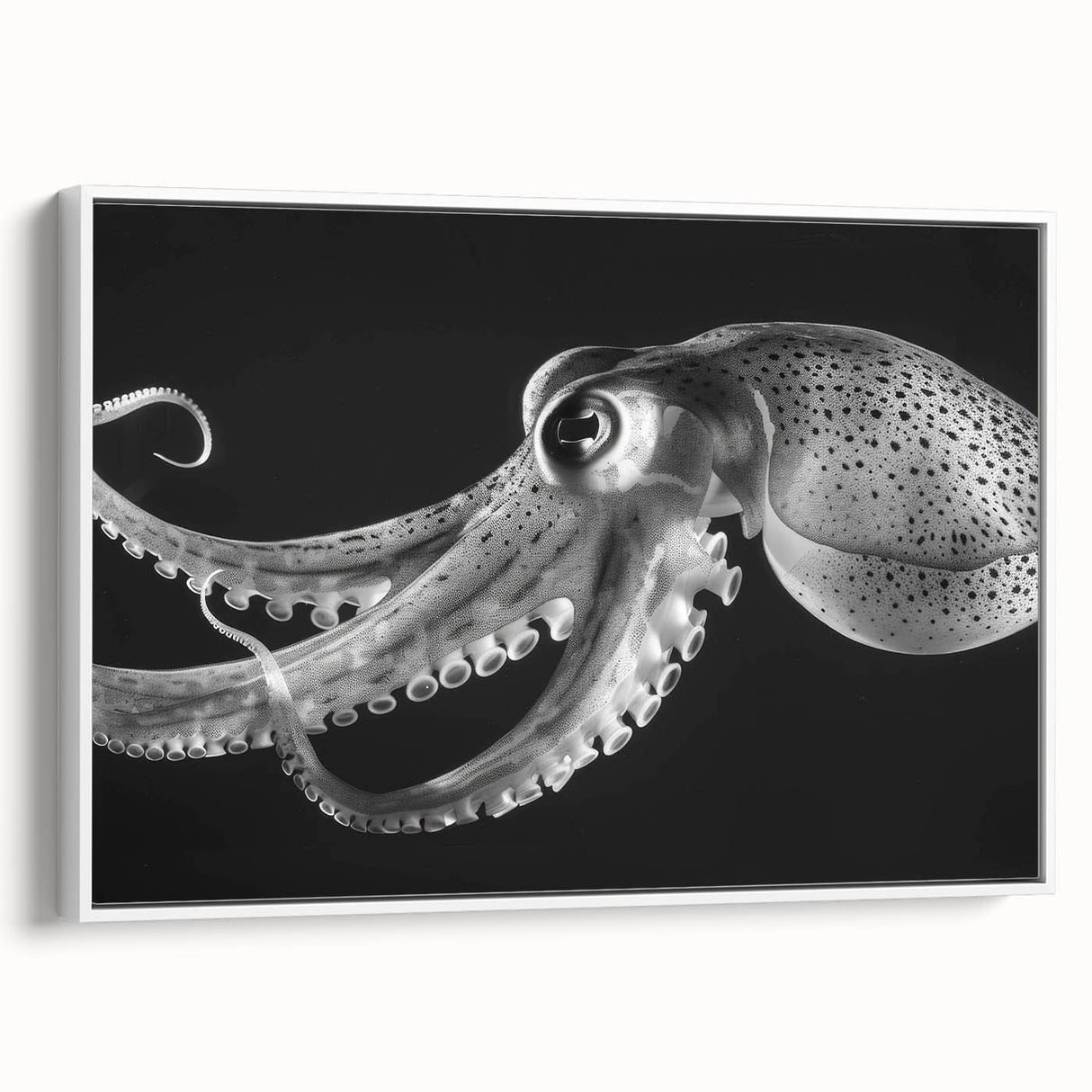 Framed wall art featuring a vibrant octopus design in shades of blue and orange, set against a white background, perfect for marine life enthusiasts and coastal decor.
