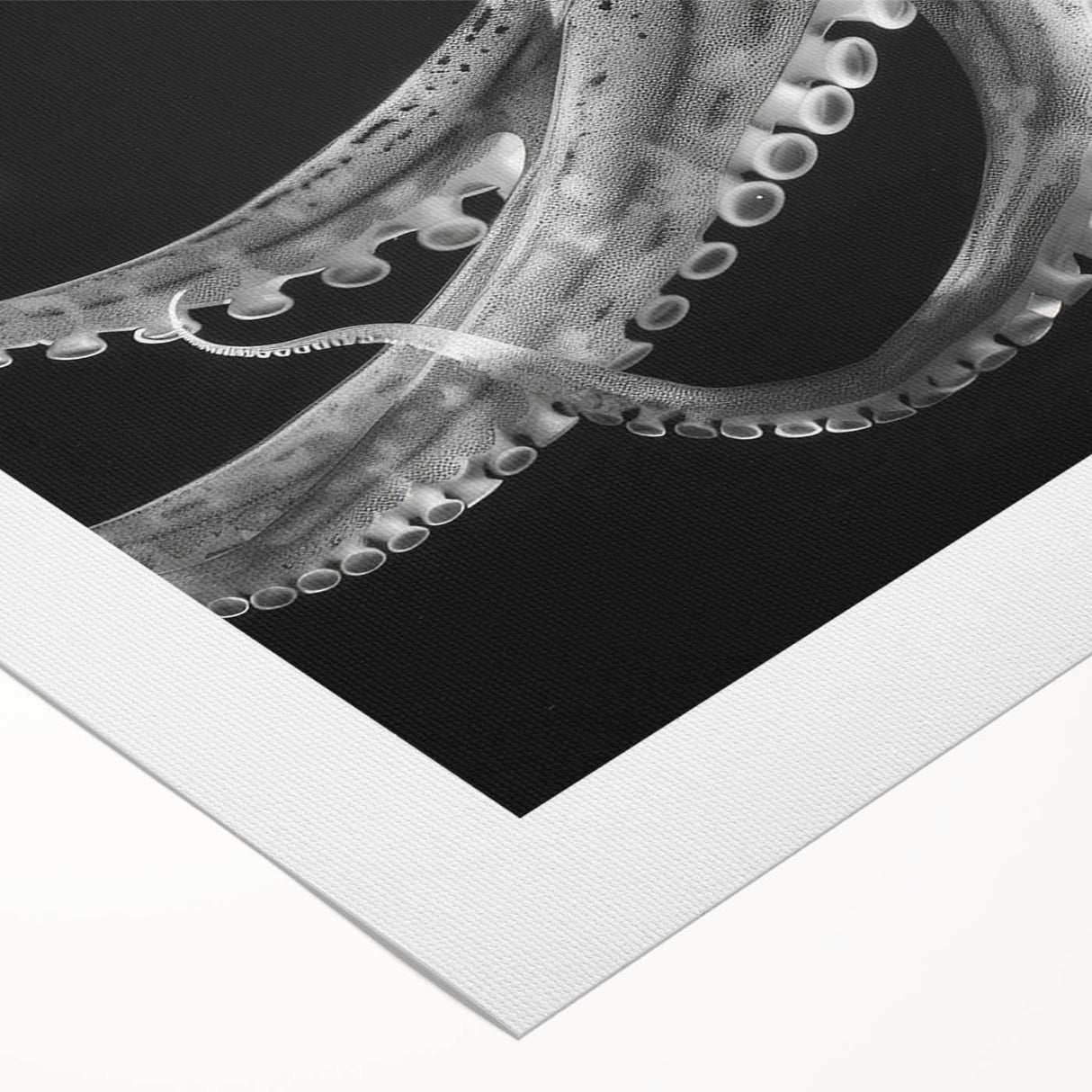 Vibrant rolled canvas wall art featuring a detailed octopus design in shades of blue and green, perfect for marine life enthusiasts and home decor.