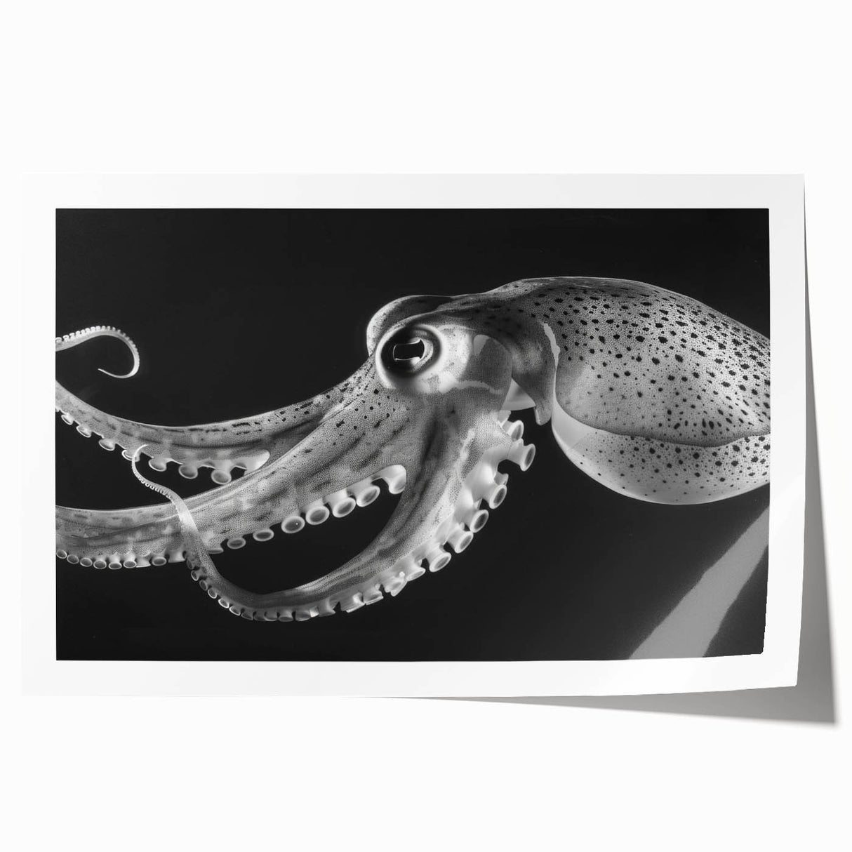 Vibrant octopus wall art print showcasing intricate marine life design with rich colors, ideal for ocean-themed decor or art collectors. Rolled and ready for framing.