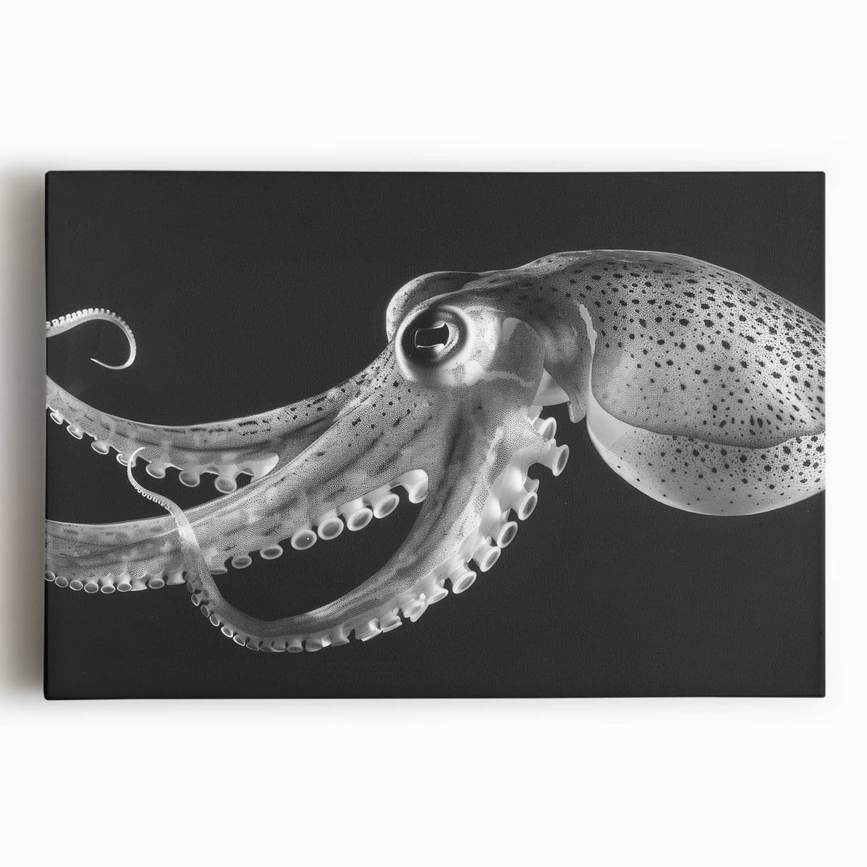 Colorful octopus wall art design on stretched canvas, showcasing intricate marine life details and vibrant hues, perfect for ocean-themed decor.